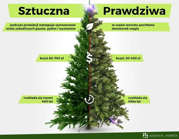 Wybór choinki: żywa, sztuczna, w donicy? Co musisz wiedzieć!